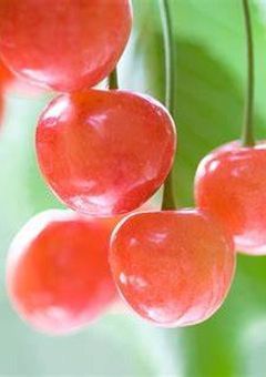 お友達専用！！