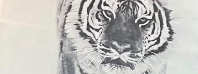 ꒦꒷　月城　りんり　꒦꒷さんの壁紙画像