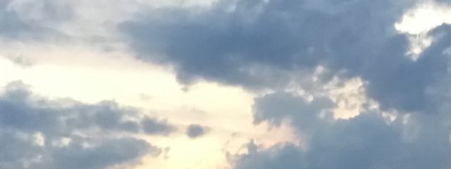 志恩☂️さんの壁紙画像