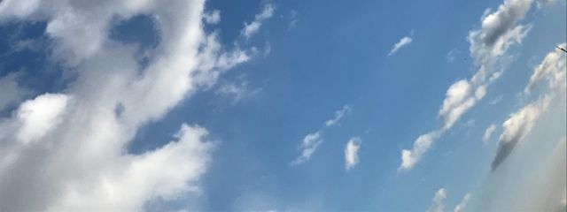 鳳華さんの壁紙画像