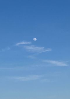 ウチの本丸日記　新米審神者