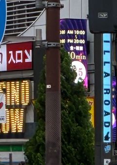 みんないっしょにとーよこいこう