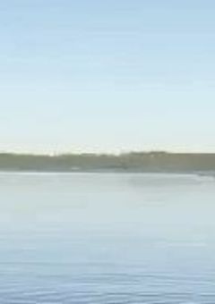 いとこちゃん？いとこくん？