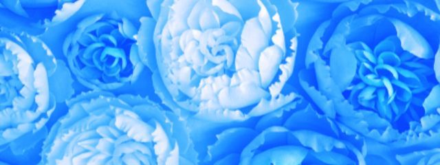 鐘川 鈴羽さんの壁紙画像