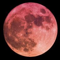 美雲さんのアイコン画像