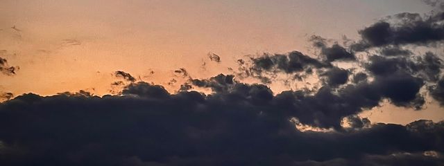 猫田さん🌼さんの壁紙画像