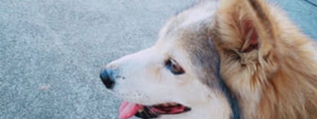 坪根  和奏さんの壁紙画像