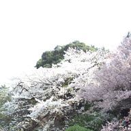 パライバブルーさんのアイコン画像