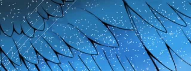 ꒰ঌ❆。 𝕐𝕦𝕜𝕚 。❅໒꒱さんの壁紙画像