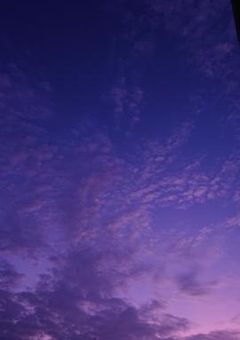 いつか絶対 "ボイシング精神病院"