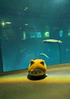 リア友部屋
