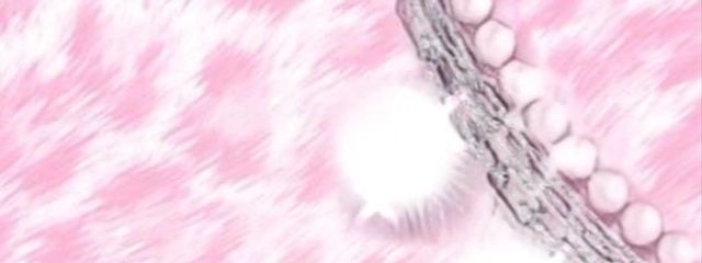 えらさんの壁紙画像