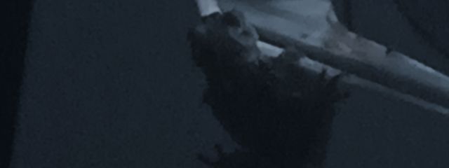 甲斐田さんの壁紙画像