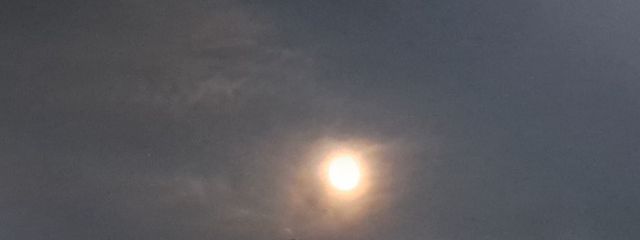 カラパティ所属@神崎雪琴さんの壁紙画像