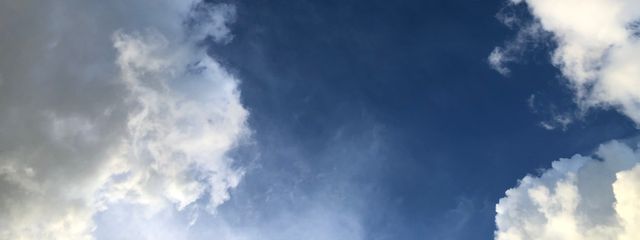 わかめさんの壁紙画像