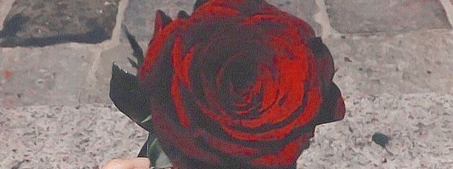 runaさんの壁紙画像