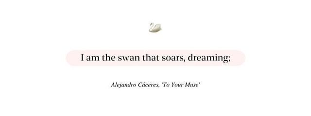 ️ ️️ ️さんの壁紙画像