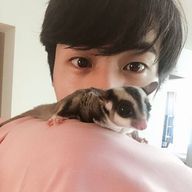 感情無しな🐬( '-' 🐬 )ｲﾙｶｸﾝだよ寂しさ倍増中さんのアイコン画像