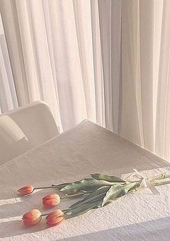 Snow Man　BL+α　短編集