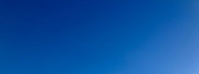 猫って可愛いよねさんの壁紙画像