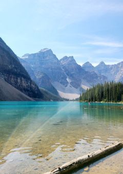 奇星雷戯、留学する。