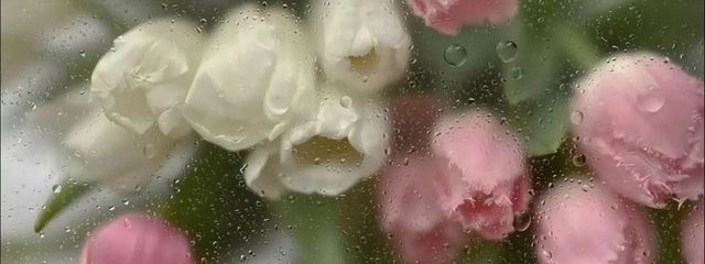 なつみかんさんの壁紙画像