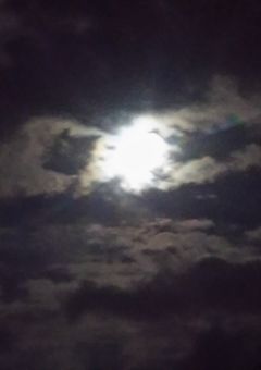 夏のお便り.・.・.゜.゜＾・*。__