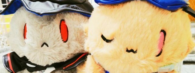 ポコ さんの壁紙画像