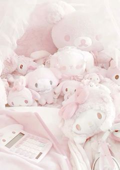 # STPR 紅一点 ちゃん の 愛され Instagram