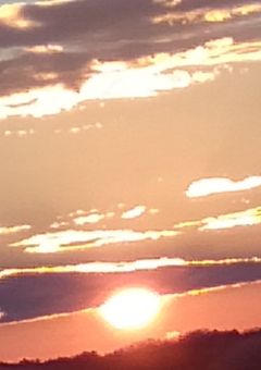 喋らないんじゃない。喋れないんだ…