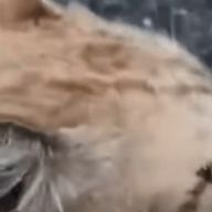 ︎^_^さんのアイコン画像