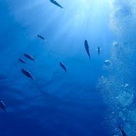 カーヴラス蟹口　さんのアイコン画像