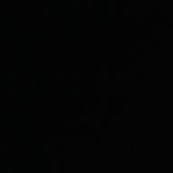 55555さんのアイコン画像