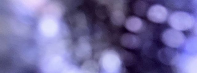 お嬢さんの壁紙画像