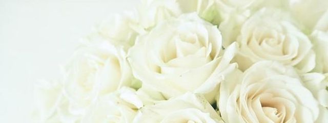 白薔薇さんさんの壁紙画像