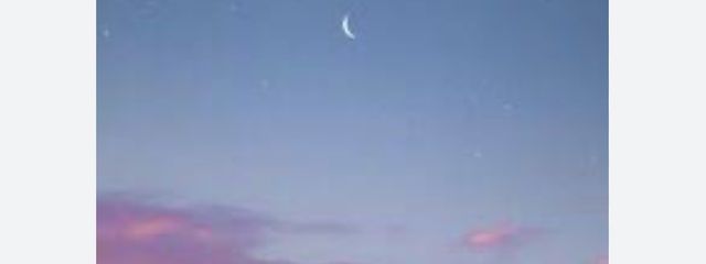 しずさんの壁紙画像