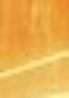 夢のような場所に夢のような人達が行ったらどうなる…？？