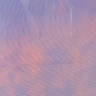 バニラさんのアイコン画像