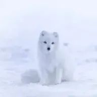りょうさんのアイコン画像