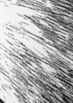  もう快楽には抗えない ♡