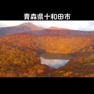 ISTPさんのアイコン画像