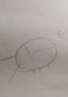 皆のオリキャラ描くだけの部屋