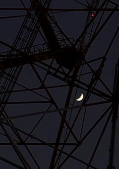 じんかくしょうかい　，　 ᐙ 