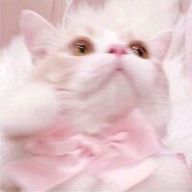 　　墓石🪦さんのアイコン画像