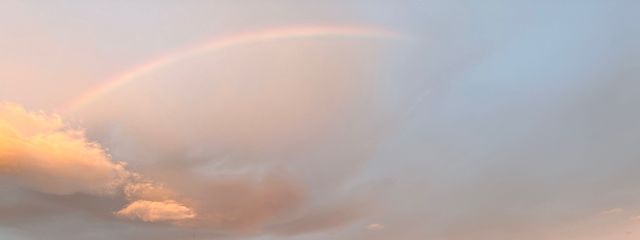 yui.さんの壁紙画像