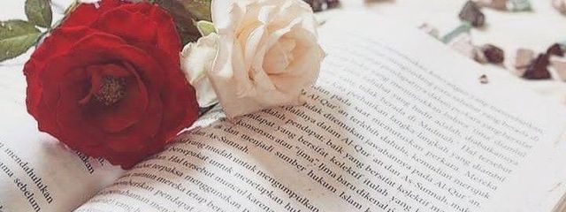 📚𝑎𝑛𝑑🥀#ゆっくり活動#フォロセさんの壁紙画像