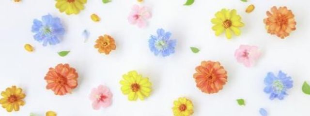 かなさんの壁紙画像