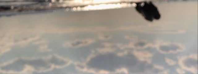 はるるさんの壁紙画像