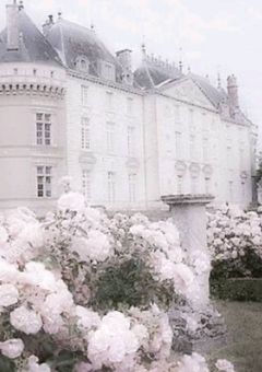 #音駒の姫と中身入れ替わった件.