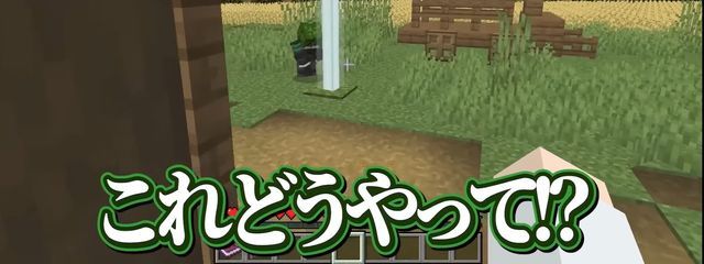 りぅ💫♪ さんの壁紙画像